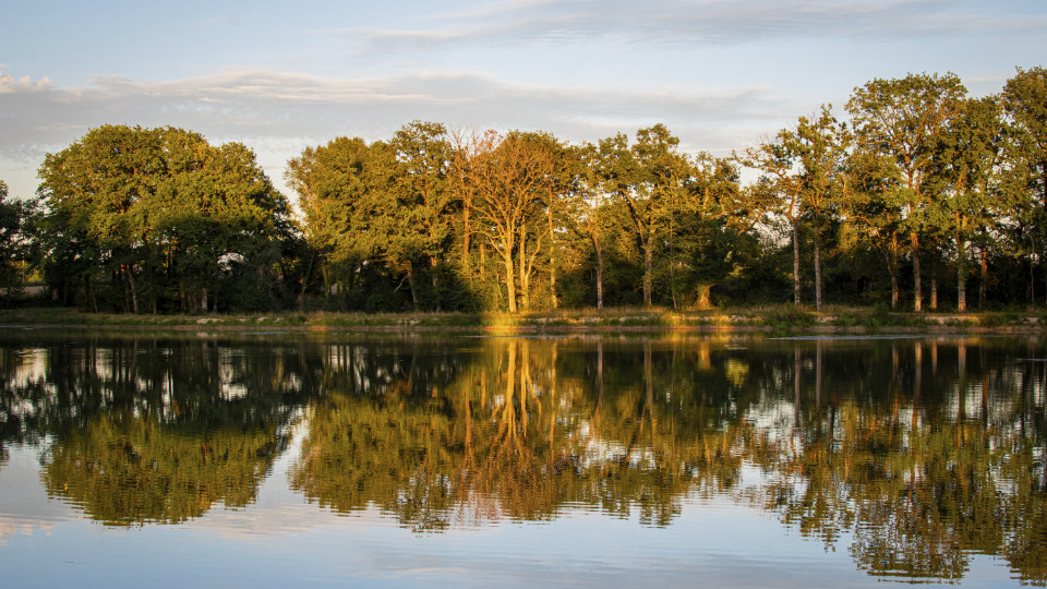 Etangs de la Crolée