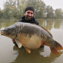 Les poissons des étangs