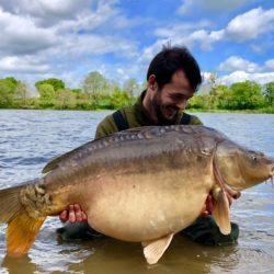 Les poissons des étangs